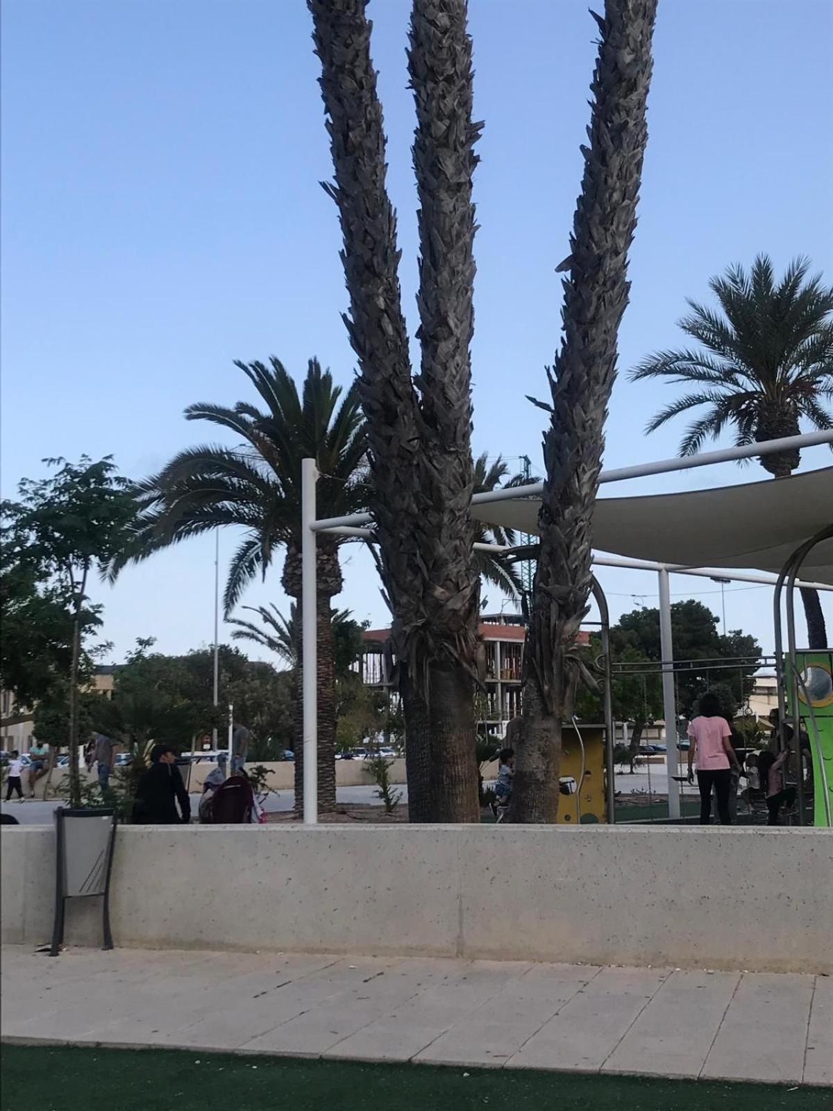 הוילה סן פדרו דל פינטר Casa Duplex מראה חיצוני תמונה